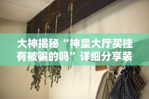 大神揭秘“神皇大厅买挂有被骗的吗”详细分享装挂步骤教程