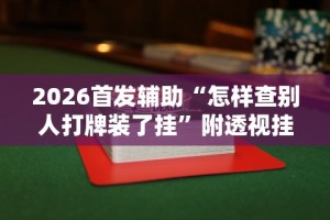 2026首发辅助“怎样查别人打牌装了挂”附透视挂详细教程