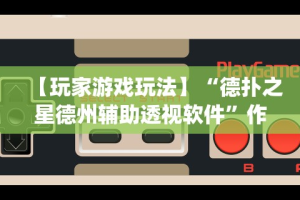 内测功能“椰岛常胜游戏玩法”(原来确实是有插件)