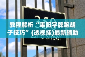 教程解析“耒阳字牌跑胡子技巧”(透视挂)最新辅助详细教程