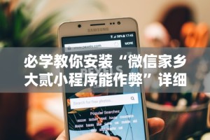 必学教你安装“微信家乡大贰小程序能作弊”详细分享装挂步骤教程
