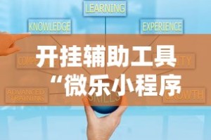 开挂辅助工具“微乐小程序万能开挂器苹果版”通用版下载教程!