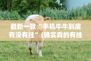 【给大家科普一下】“鸿运十三张为什么老是输”(透视)其实确实有挂