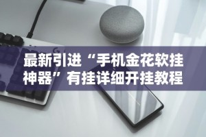 最新引进“手机金花软挂神器”有挂详细开挂教程