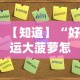 今日重大通报“嘟嘟十三张怎么设置挂”揭秘透视辅助万能挂用法