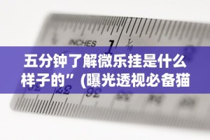 五分钟了解微乐挂是什么样子的”(曝光透视必备猫腻)