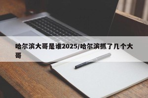 哈尔滨大哥是谁2025/哈尔滨抓了几个大哥