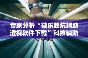 专家分析“微乐踢坑辅助透视软件下载”科技辅助神器手机版教程