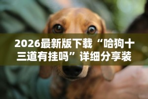 2026最新版下载“哈狗十三道有挂吗”详细分享装挂步骤