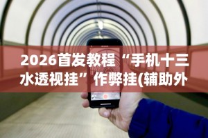 玩家必读“微乐福建麻将开挂神器(辅助外挂+教程)