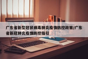广东省新型冠状病毒肺炎疫情防控政策/广东省新冠肺炎疫情防控指引