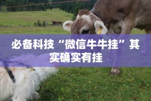 必备科技“微信牛牛挂”其实确实有挂