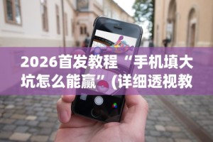 2026首发教程“手机填大坑怎么能赢”(详细透视教程)-