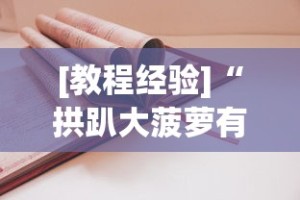 [教程经验]“拱趴大菠萝有什么挂吗”分享必要外挂教程