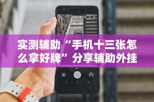 【盘点十款】“决战十三水怎么提升拿好牌的几率”(透视)开挂辅助脚本+详细开挂安装教程