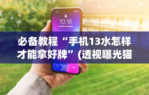 必备科技“白金岛跑得快有没有挂!分享用挂教程