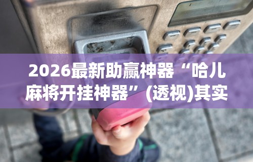 2026最新助赢神器“哈儿麻将开挂神器”(透视)其实确实有挂