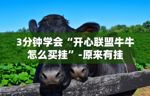 3分钟学会“开心联盟牛牛怎么买挂”-原来有挂