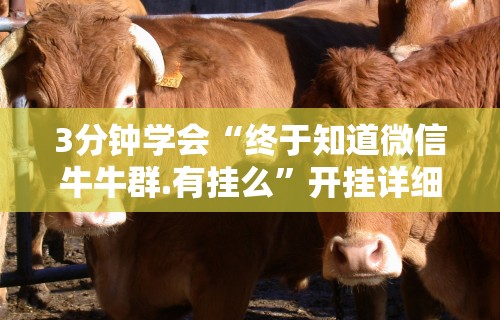 3分钟学会“终于知道微信牛牛群.有挂么”开挂详细教程