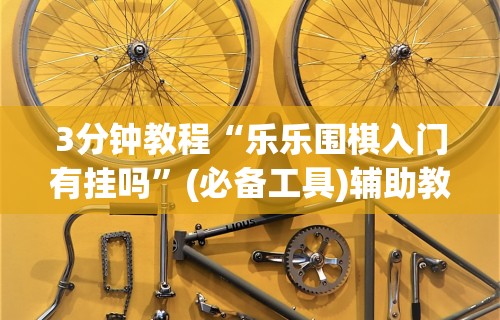 3分钟教程“乐乐围棋入门有挂吗”(必备工具)辅助教学