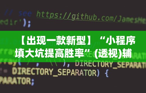 【出现一款新型】“小程序填大坑提高胜率”(透视)辅助透视教程