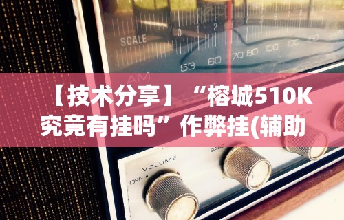 【技术分享】“榕城510K究竟有挂吗”作弊挂(辅助外挂+