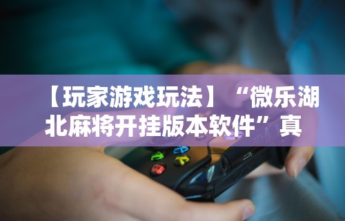 【玩家游戏玩法】“微乐湖北麻将开挂版本软件”真实开挂技巧分享