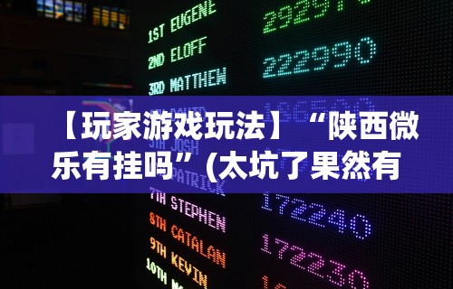 【玩家游戏玩法】“陕西微乐有挂吗”(太坑了果然有挂)