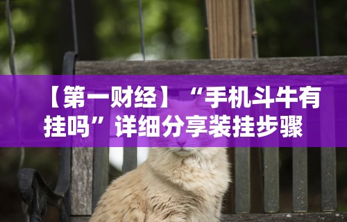 【第一财经】“手机斗牛有挂吗”详细分享装挂步骤教程