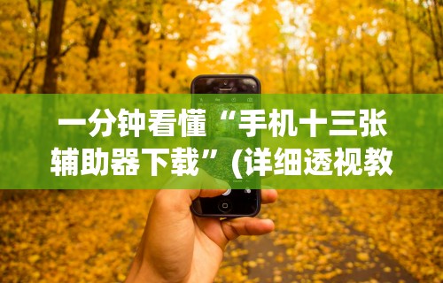 一分钟看懂“手机十三张辅助器下载”(详细透视教程)