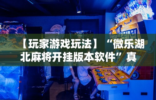 【玩家游戏玩法】“微乐湖北麻将开挂版本软件”真实开挂技巧分享