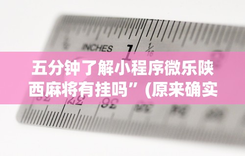 五分钟了解小程序微乐陕西麻将有挂吗”(原来确实是有插件)