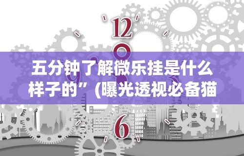 五分钟了解微乐挂是什么样子的”(曝光透视必备猫腻)
