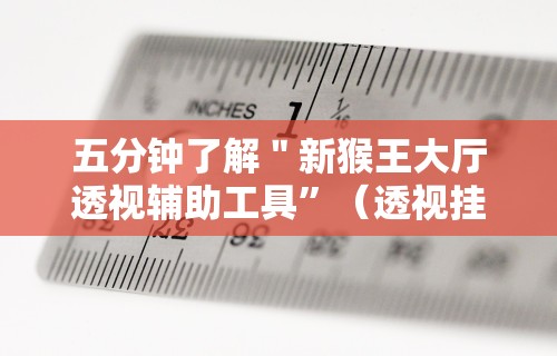 五分钟了解＂新猴王大厅透视辅助工具”（透视挂）辅助神器教程
