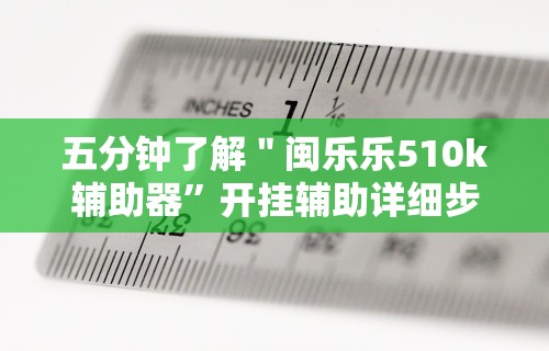五分钟了解＂闽乐乐510k辅助器”开挂辅助详细步骤
