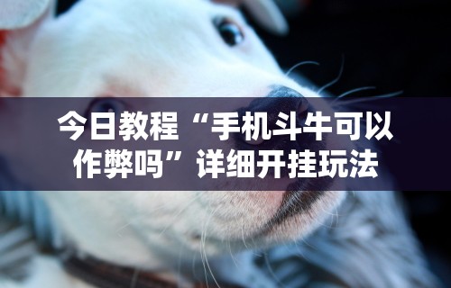 今日教程“手机斗牛可以作弊吗”详细开挂玩法