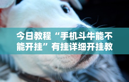 今日教程“手机斗牛能不能开挂”有挂详细开挂教程