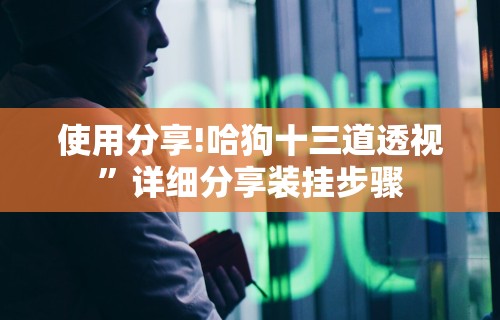 使用分享!哈狗十三道透视”详细分享装挂步骤
