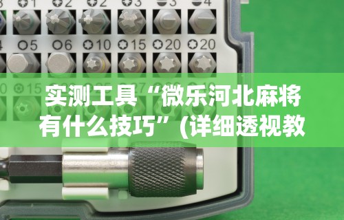 实测工具“微乐河北麻将有什么技巧”(详细透视教程)-知乎