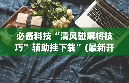 必备科技“清风碰麻将技巧”辅助挂下载”(最新开挂教程)