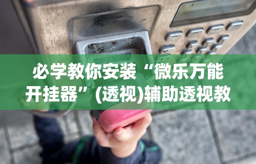 必学教你安装“微乐万能开挂器”(透视)辅助透视教程