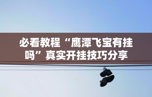 必看教程“鹰潭飞宝有挂吗”真实开挂技巧分享