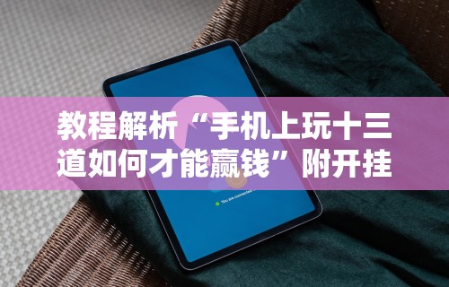 教程解析“手机上玩十三道如何才能赢钱”附开挂脚本详细步骤