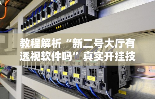 教程解析“新二号大厅有透视软件吗”真实开挂技巧分享