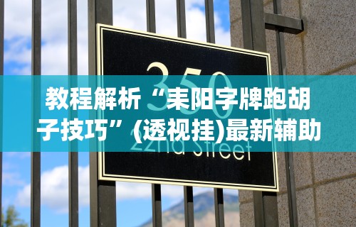 教程解析“耒阳字牌跑胡子技巧”(透视挂)最新辅助详细教程