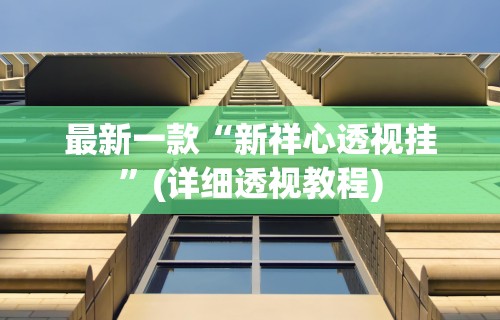 最新一款“新祥心透视挂”(详细透视教程)