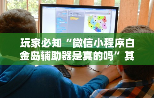 玩家必知“微信小程序白金岛辅助器是真的吗”其实确实有挂