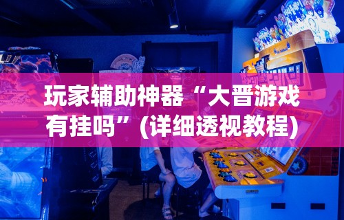 玩家辅助神器“大晋游戏有挂吗”(详细透视教程)
