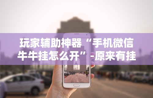 玩家辅助神器“手机微信牛牛挂怎么开”-原来有挂