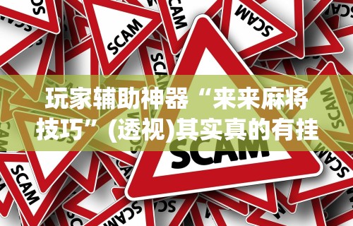 玩家辅助神器“来来麻将技巧”(透视)其实真的有挂